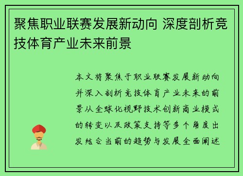 聚焦职业联赛发展新动向 深度剖析竞技体育产业未来前景