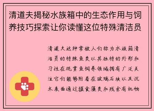 清道夫揭秘水族箱中的生态作用与饲养技巧探索让你读懂这位特殊清洁员